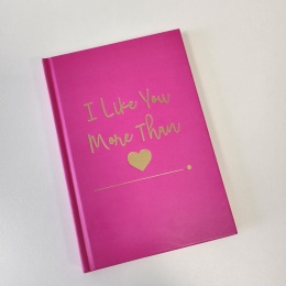 Märkmik "I like you more than"